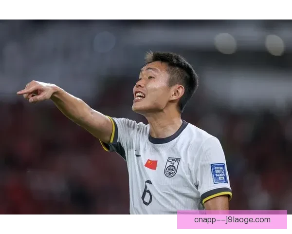 2026世界杯官方志愿者申请人数首次突破一百万热情高涨吸引全球关注